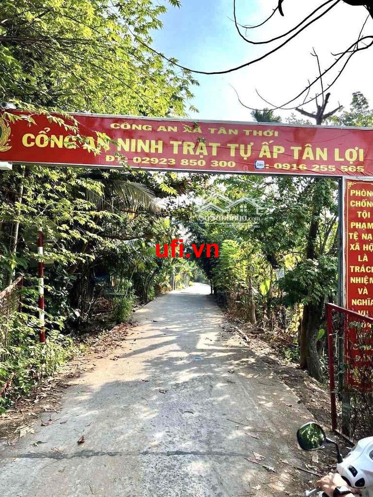 "Bán đất dt rộng 2800m2 ấp tân nhơn - xã tân thới - huyện phong điền"