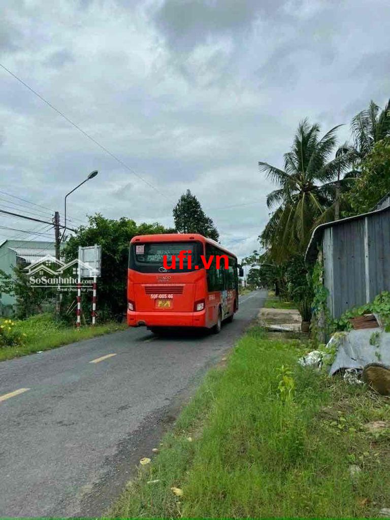 "Vườn sầu riêng 130 gốc 4 năm tuổi tỉnh lộ 926 chuẩn bị mở rộng 42m"